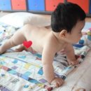 (주)피러스 | [비피러스블로썸] 비피러스블로썸 B(유아용) 한달 섭취후 솔직한 후기!!