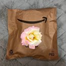 프라임덴탈 | 잇몸관리 무선 워터픽 구강세정기 휴대용 추천 내돈내산 솔직 후기