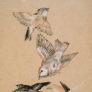 함덕스쿠버다이빙 이미지