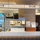 롯데 프리미엄 푸드마켓 용인점 | 기흥롯데프리미엄아울렛 맛집 대표 소금빵맛집 시오팡야 포장 솔직후기