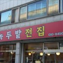 전집보고
