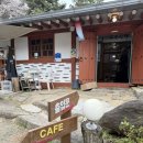 아라메길 (도비마루길) | W-7. 서산 ‘도비마루’ 상견례 내돈내산 솔직후기
