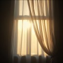 힐링스토리 이미지