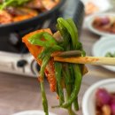 영진농원 | 부산 근교 봄 제철 맛집 양산 원동 미나리 삼겹살 11번 영진농원 후기