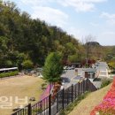 영천시 그린환경센터 이미지