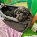 W사우나 | 언주역헬스장 e-gym 사우나 골프 프리미엄급 w/ 우희철 트쌤 @빌드업피트니스언주역점 후기