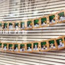 샤인펫 (Shine pet) 이미지