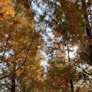 백제나루 영농조합법인 이미지