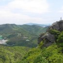 괴정초등학교 이미지