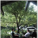 새소리물소리 이미지