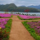 요산마을 이미지