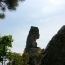이평리 롯데리아 | 1625. 등산: 제571차 금학산 등산후기(5.17 일)