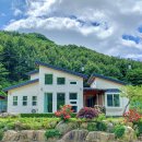 마치무릉도원 이미지