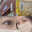 대구 송현동속눈썹 모나원뷰티 브라운모 클래식연장후기