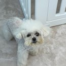 다래미용실 이미지