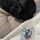 (주)에그필드 이미지