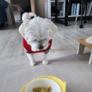 콩이네 방앗간 이미지