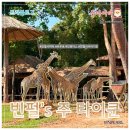 (주)고려여행 | [해외여행] 푸꾸옥 북부 빈원더스 빈펄사파리 동물원 입장권 주트램 탑승 정보 후기