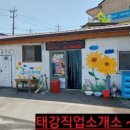 배꼽직업소개소 이미지