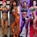 몸짱휘트니스 이미지