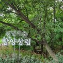 필봉산길 이미지