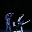 국립발레단 ’백조의 호수’ 이미지