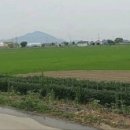 마을정자 옆 이미지