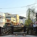 주식회사단풍나무짐 | 대마도 혼자 여행 1박2일 패키지 후기 쓰시마링크호 여행특공대