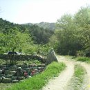 솔바람 들꽃향기 이미지