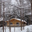 숲속오두막 이미지