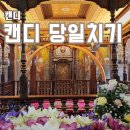 앨리의씨크릿