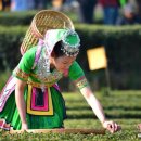 소수농장 이미지