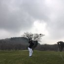 로얄EMS.PT 이미지