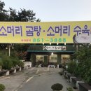 장신주유소 이미지
