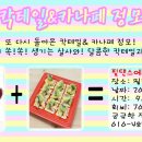 댄스살사 Daum카페