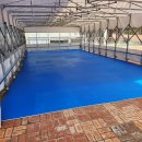 대구외국어고등학교 이미지