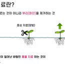 진 한약국 이미지