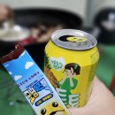 아미고펜션민박 | [남해 1박 2일 여행] 코스 추천 가볼만한곳, 맛집, 소소한 재미들까지