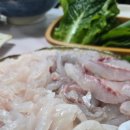 바다세상 | 회 맛집 추천 :: 이순신광장 근처 ‘바다세상’ 신선한 숙성회 솔직 후기(여수 회 맛집 / 여수 봉산동...