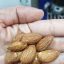 뉴캡틴짐 이미지