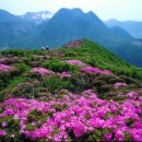 맛있는찌개 이미지