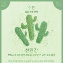 포레스트(forest) 이미지