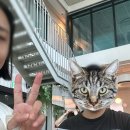 파인아이디 | 임신 28주 배가려움 프랭클린산모터즈 태교동화구연 압타클럽 파인다이닝 월드컵