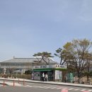 청애농장 | 경주 가족여행코스 동궁원 버드파크 앵무새들 넘 귀여웡