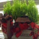 카페푸른초장 이미지