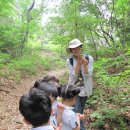 보림유치원 이미지