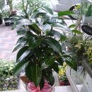 약천한의원 이미지