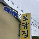 토담집 | [경남 고성/통영 안정 맛집] 정갈한 산채비빔밥과 노란 유채꽃 산책 | '토담집' 내돈내산 후기