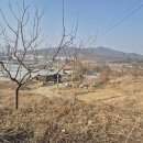 최영일 행정사사무소 이미지