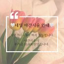 투앤티투네일 이미지